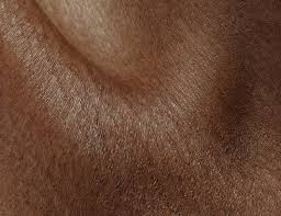 Original How to Know Your Skin Type at Home in Lagos Nigeria Buy the original How to Know Your Skin Type at Home in Lagos Nigeria