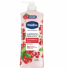 Buy the original Vaseline Healthy Bright Superfood Freshlock 2x UV Lotion (Cranberry) 500ml in Lagos Nigeria